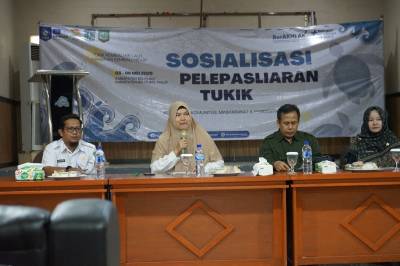 Pelepasliaran Tukik Tak Bisa Lagi Sembarangan